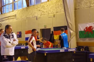subbuteo