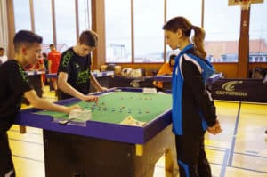 subbuteo